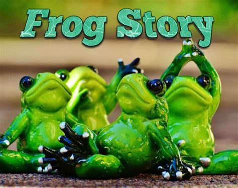 frog story slot